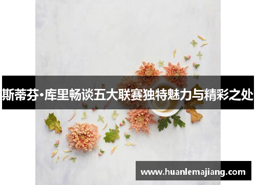 斯蒂芬·库里畅谈五大联赛独特魅力与精彩之处